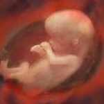 El Estado es culpable