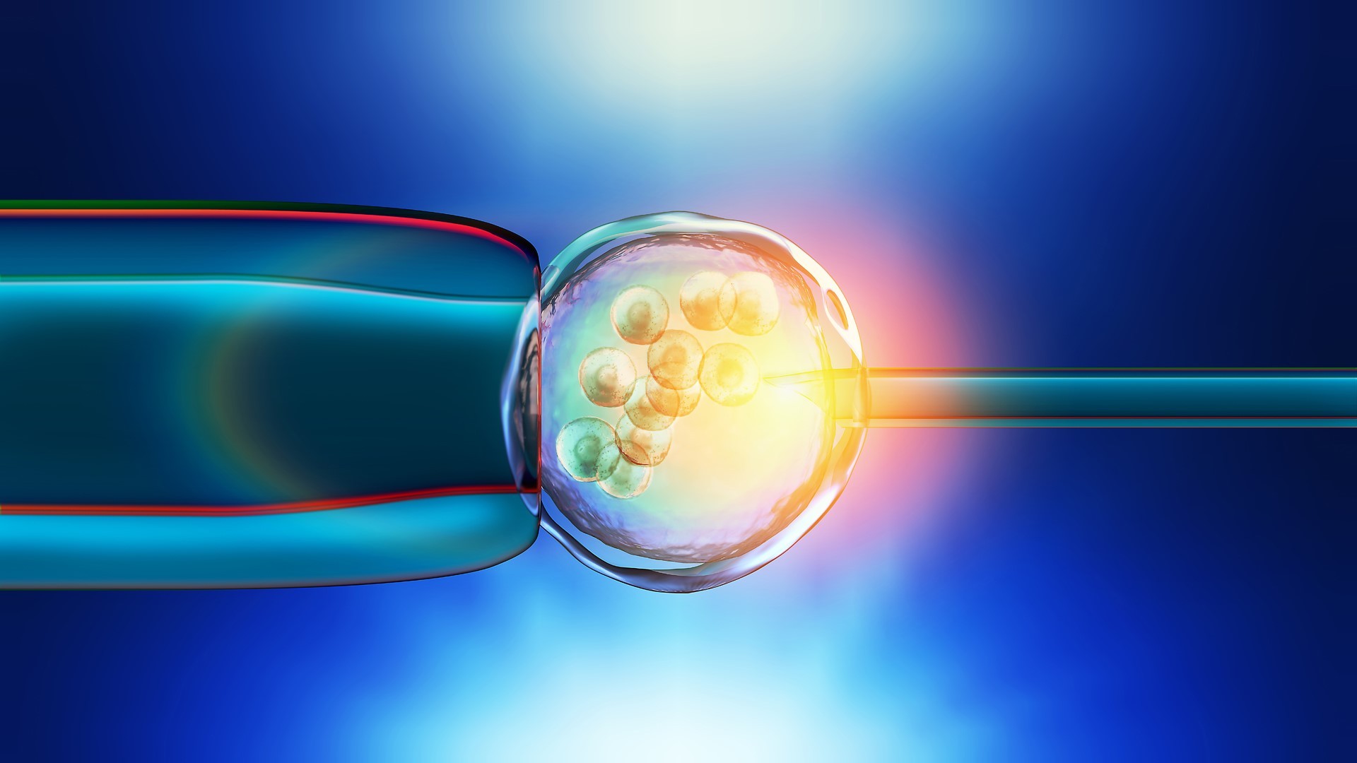 Nueva tecnica genetica para crear embriones humanos