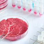Florida prohíbe la carne falsa de laboratorio para luchar contra «el plan de la élite global» de comer insectos