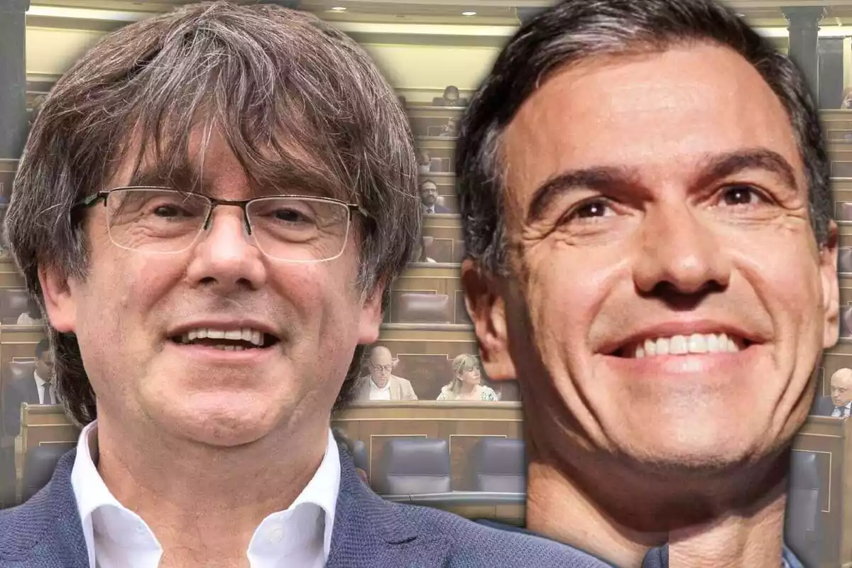 Constitucional avala la amnistía para Sánchez