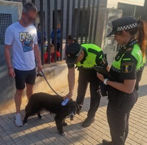 Agentes de la plasta abandonada