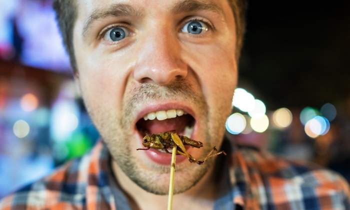 ASAJA apoya la comida de insectos