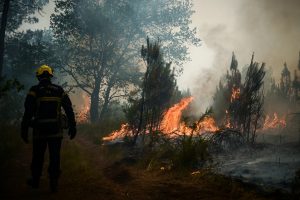 El gobierno como bombero pirómano