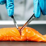 fda-fake-salmon-no-testing-1536×801