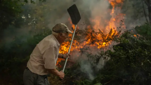 El gobierno no invierte en prevención de incendios