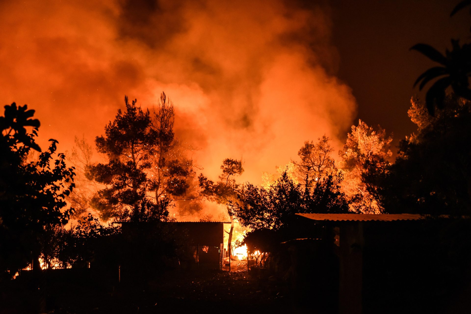 Fuegos en España ¿emergencia climática y/o incompetencia?
