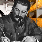 W3I3VQNZQZHMDLY4M3BGIDYSVM