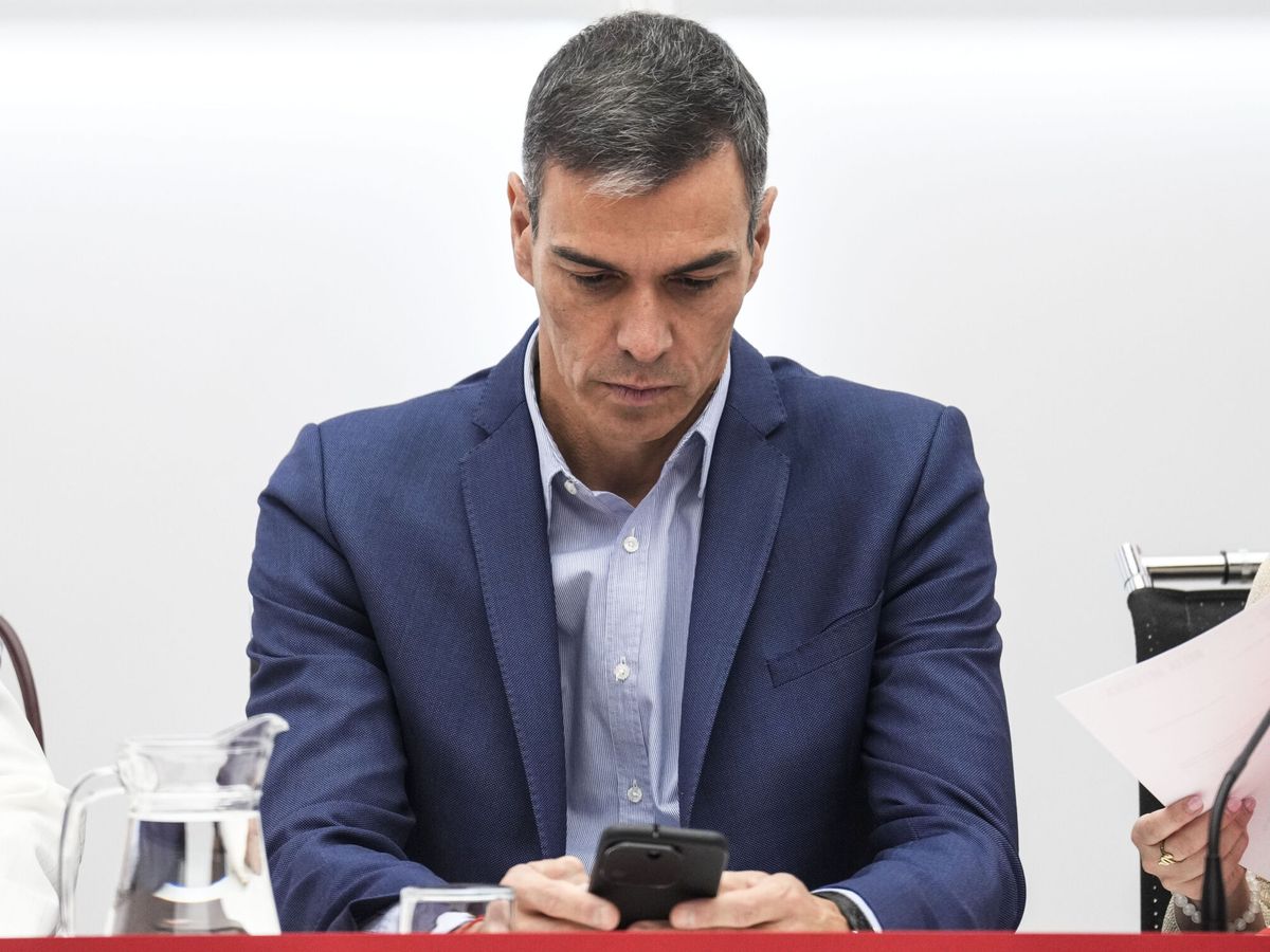 adelanto electoral de Sánchez