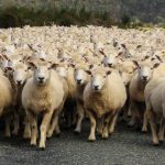 colapso del ciudadano