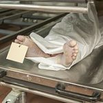 Hedor a cadáver régimen