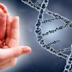 bebés genéticamente modificados