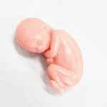 aborto: El mayor holocausto de la Historia