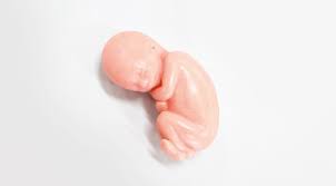 aborto: El mayor holocausto de la Historia