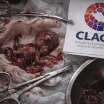 Red abortista CLACAI