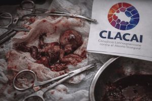 Red abortista CLACAI