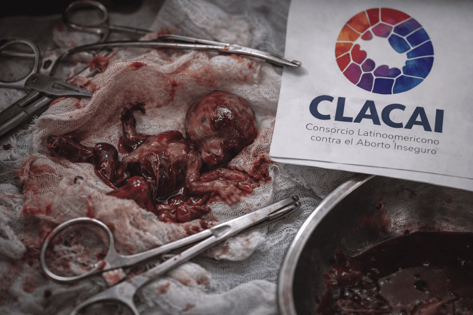 Red abortista CLACAI