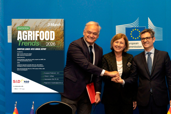 PP y PSOE Bruselas campo