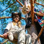 Therians: Autopercepción y realidad