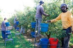 inmigrantes empleo creado España Sánchez