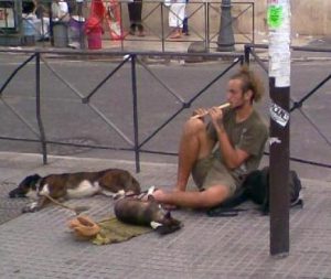 reglas para ser un buen izquierdista