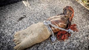 profanación tumba Soria