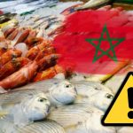 España el basurero de Marruecos