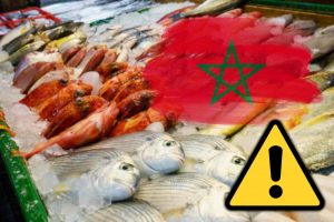 España el basurero de Marruecos