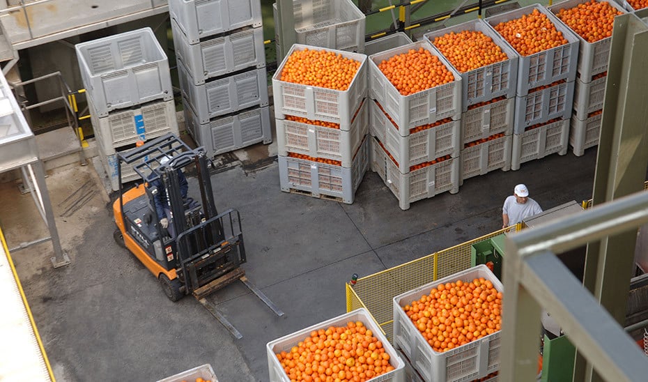 Importaciones UE ruina sector primario