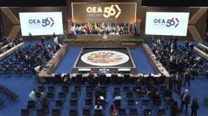 victoria provida OEA