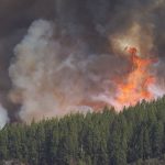 abandono administraciones e incendios.