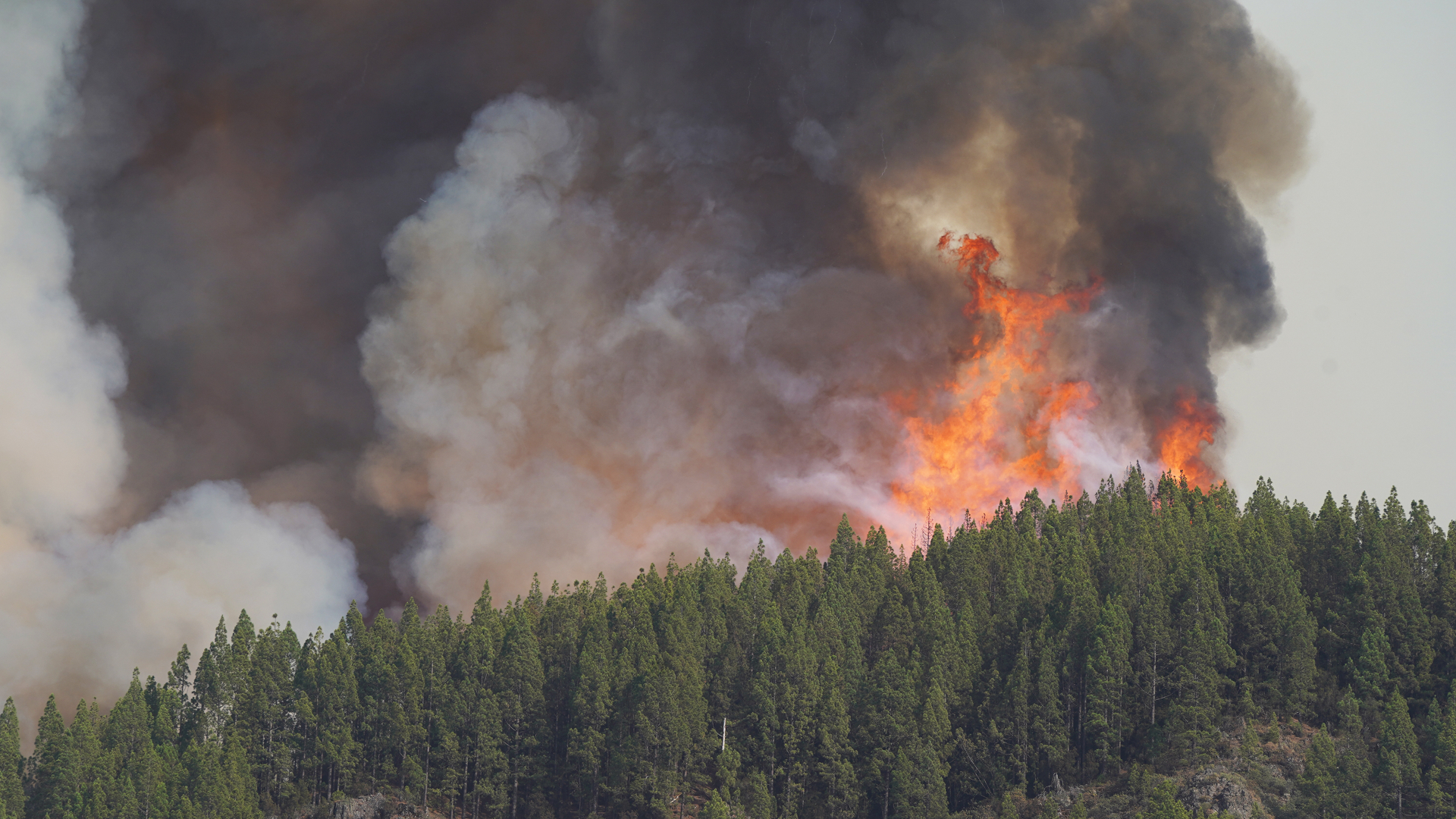 abandono administraciones e incendios.