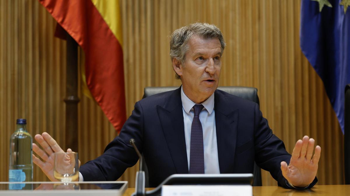 Alberto Núñez Feijóo gesticula durante un discurso en el Congreso de los Diputados.