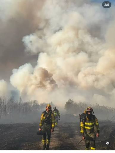 Un denso humo negro cubre un bosque español calcinado tras un devastador incendio forestal en verano.